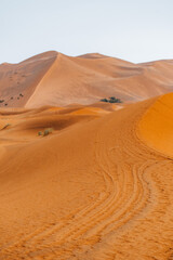 Fototapeta na wymiar Sand texture in Morocco Sahara Merzouga Desert after a rainy day