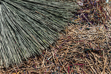 Dried kajood (Bulrushes, Lepironia Articulata), Preparing for crafting Beautiful Handmade product products e.g., bags, basket. at Thale Noi, Phatthalung, south of Thailand