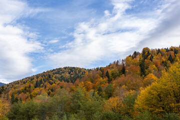 Fototapeta premium early autumn, nature walks, mountain . infrastructure and panoramic views of the mountains, tourist routes and recreation in the mountains.