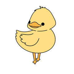 Cute duck animal illustration