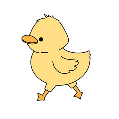 Cute duck animal illustration
