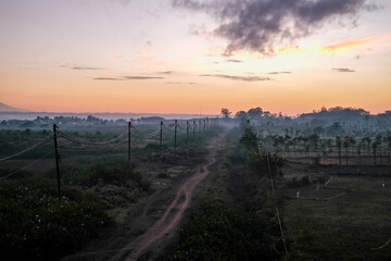 sunrise over the dirt road, sunrise at a village, sunrise over the field, view of the sunrise in a village in Lombok