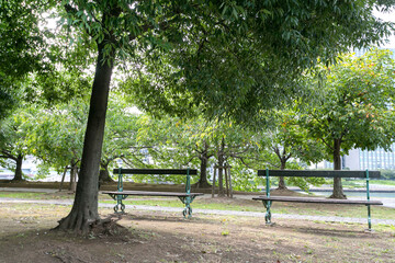 石川島公園（東京都中央区佃２丁目）