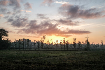sunrise in rice fields located in Lombok, sunrise over the field, sunrise in the ricefield, sunrise in the morning