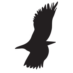 Silhouette of bird isolated on white background. Vector illustration.