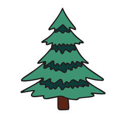 Hand drawn pine tree colored outline. Doodle fir tree isolated on white background. Vector illustration.