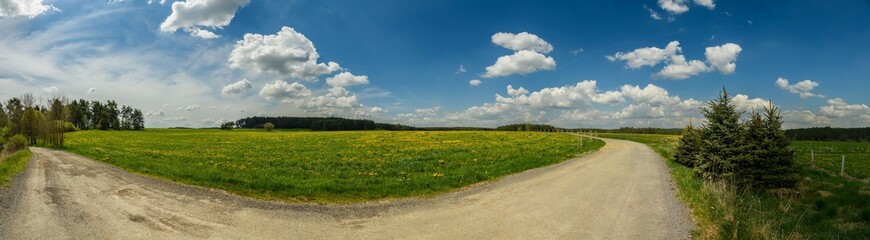 panorama of country side with dirt road, meadow, forest