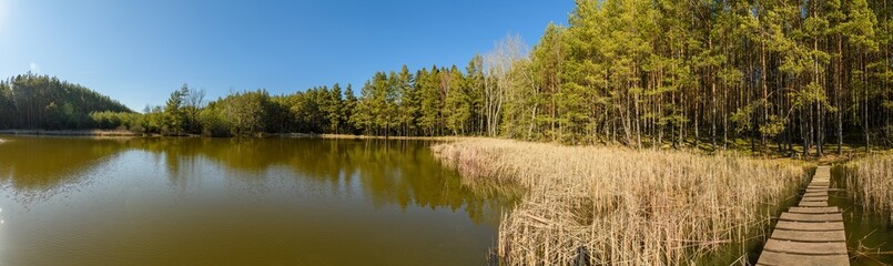 pond in the forest with reeds and wooden path