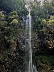 hidden waterfall in the jungle