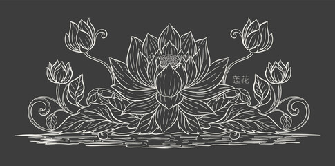 Lotus and leaf sketch with fine graceful lines. Isolated flower on background. Vintage etching botanical lotus.