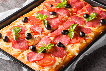 Freshly baked rectangular pizza with cheese, salami, olives and tomatoes close-up in a baking tray...
