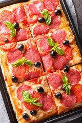 Tasty Pizza al Taglio or Pizza al trancio with cheese, sausage, olives and tomatoes closeup on the tray on the table. Vertical top view from above