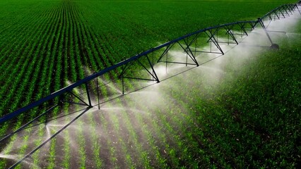 Aerial view pivot at work in potato field, watering crop for more growth. Center pivot system irrigation. Watering crop in field at farm. Modern irrigation system for land and vegetables growing on it - Powered by Adobe