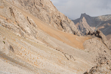 A herd of sheep in the mountains of Tajikistan