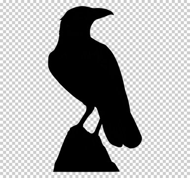 silhouette of a raven in rock