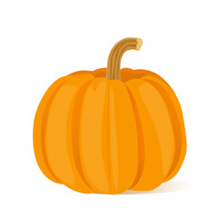 Orange pumpkins isolated on a white background. Vector illustration.