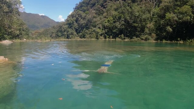 Slo mo: Young man swims underwater in green jungle river in Guatemala