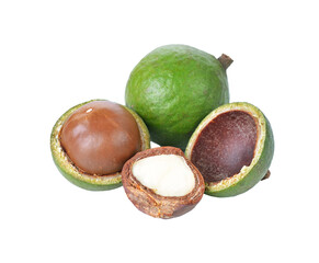 macadamia nuts transparent png