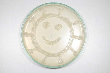 Backgrounds of Characteristics  of Bacteria and Fungi  for education in Microbiology laboratory.