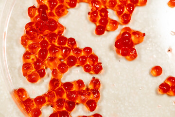 pH testing in food and Encapsulation Experiment example in the laboratory