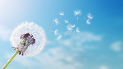 summer background with dandelions in the sky