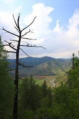 Summer mountain landscape with road
