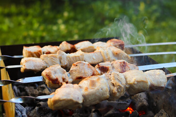 Pieces of meat on skewers. Shashlik. Picnic in nature. Close-up. Selective focus. Copyspace