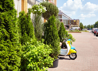 Fototapete bei efototapeten.de bestellen   