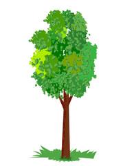 Green single tree isolated on white background. Vector illustration.
