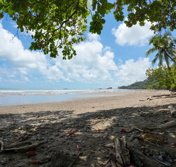 Paradise on the Pacific coast, natural sandy beach and palm trees in Costa Rica