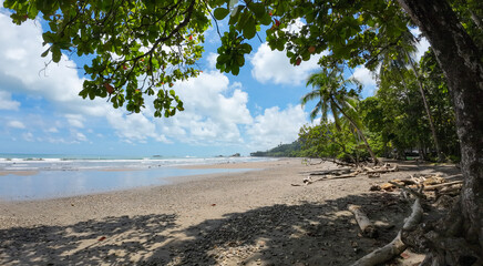 Paradise on the Pacific coast, natural sandy beach and palm trees in Costa Rica