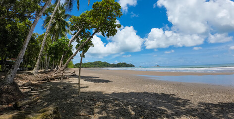 Paradise on the Pacific coast, natural sandy beach and palm trees in Costa Rica