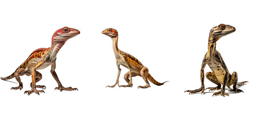 animal compsognathus illustration science reptile, evolution prehistoric, extinct ancient animal compsognathus