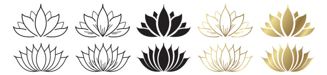 Lotus Flower Gold Black Illustration background vector