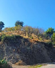 Hill with some trees growing on it on a clear sunny day