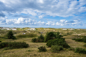 Fototapeta na wymiar Insel Amrum die Dünen im Bereich des Leuchtturmes können zum Campen genutzt werden, am Horizont die Nordsee