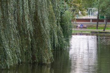 Naklejka premium artificial lake in a park. boating area. landscape.