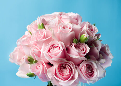 Pink Roses Bouquet on Blue Background Close Up