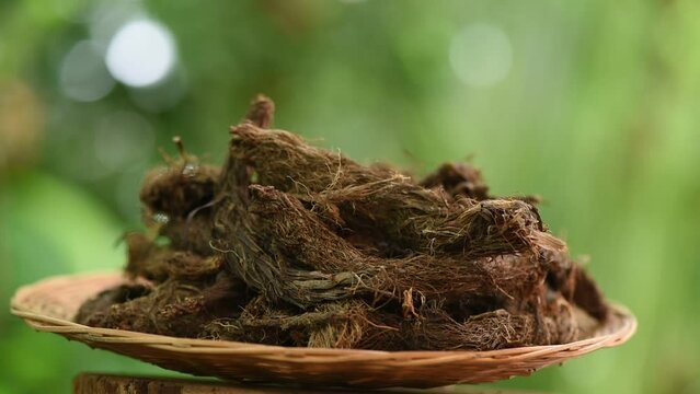 Dried Jatamansi, Spikenard or Nardostachys jatamansi on natural background.