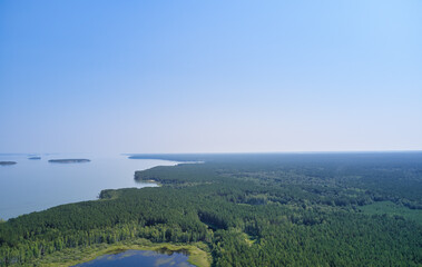 Aerial photo of forest boggy lake in the Karakansky pine forest near the shore of the Ob reservoir.