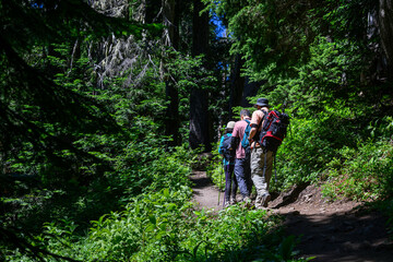 Obraz premium Hiking Summit Lake Trail at Mount Rainier National Park in summer. Washington State.