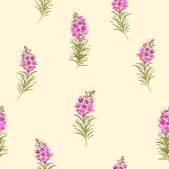 Vector seamless floral pattern with fireweed plant - 645246734