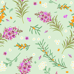 Vector seamless floral pattern with fireweed plant and sea buckthorn - 645246760
