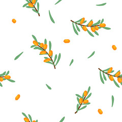 Vector seamless floral pattern with branches and sea buckthorn berries - 645246787