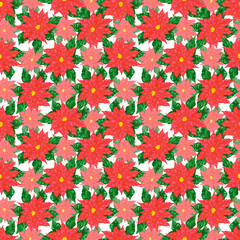 Hand drawn watercolor poinsettia flowers seamless patten isolated on white background. Can be used for textile, fabric, gift-wrapping and other printed products.