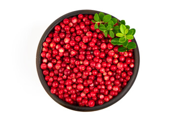 Fresh wild lingonberry berries with leaves, isolated on white background.