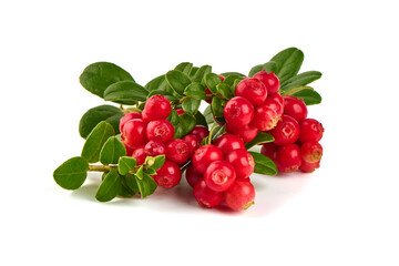 Fresh wild lingonberry berries with leaves, isolated on white background.
