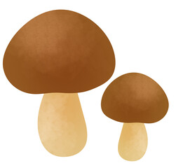 シンプルな秋のきのこ