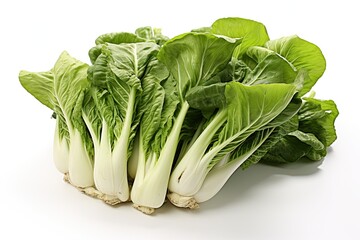 Bok choy or Chinese cabbage isolated on white