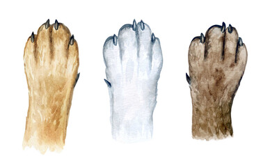 dog paws. Set of realistic paws isolated on a white background. Watercolor
